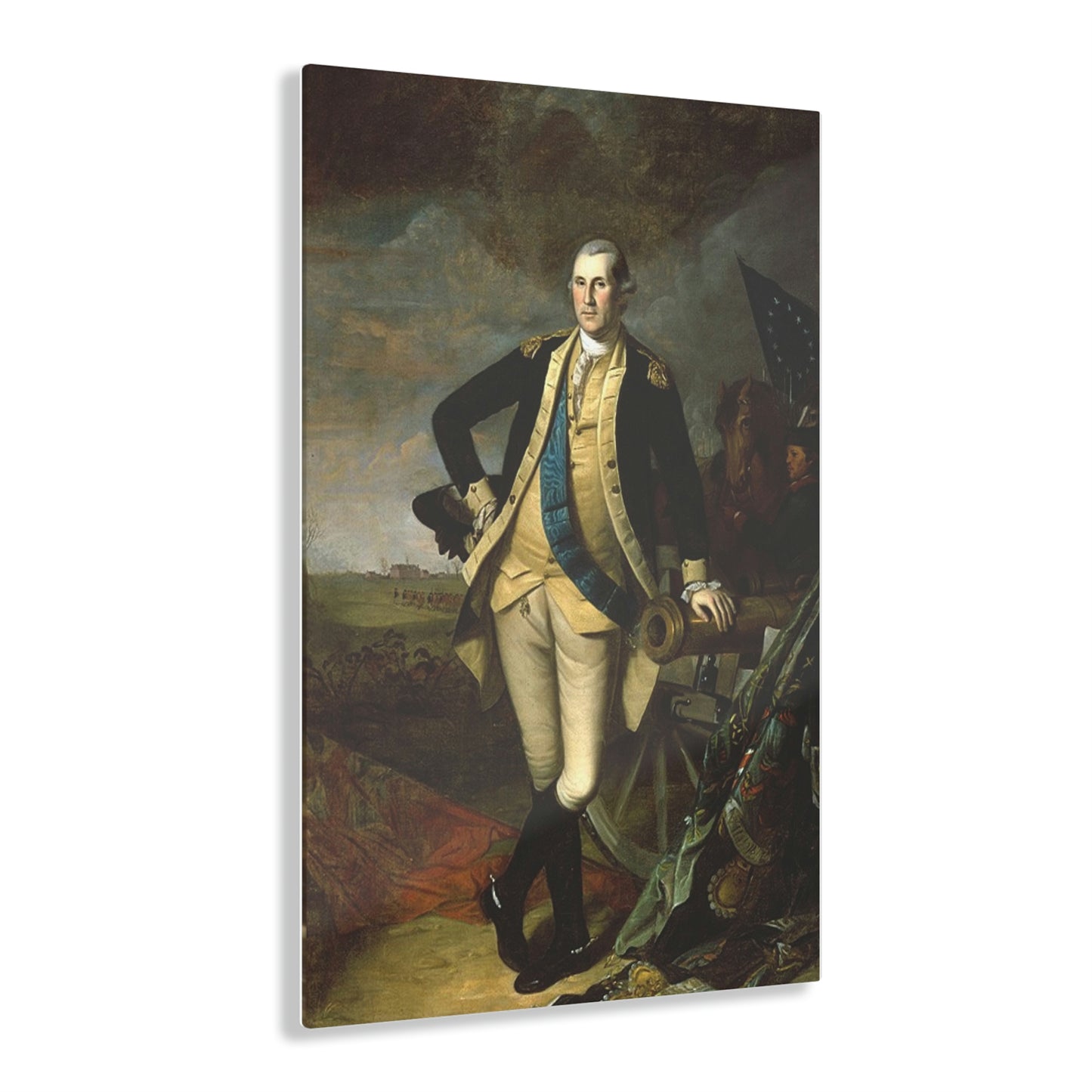 Washington at Princeton Print